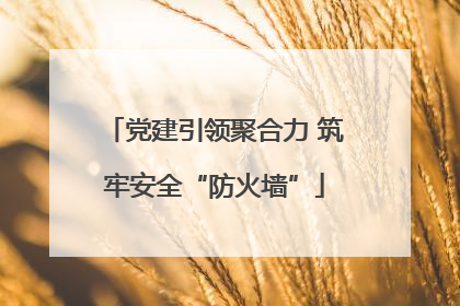 党建引领聚合力 筑牢安全“防火墙”