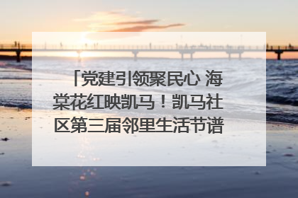 党建引领聚民心 海棠花红映凯马！凯马社区第三届邻里生活节谱写幸福新篇章