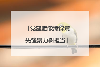 党建赋能添绿意 先锋聚力树担当