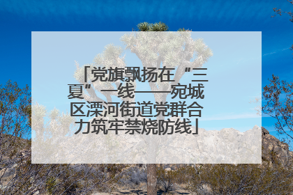 党旗飘扬在“三夏”一线——宛城区溧河街道党群合力筑牢禁烧防线