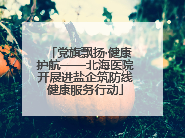 党旗飘扬·健康护航——北海医院开展进盐企筑防线健康服务行动