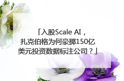 入股Scale AI，扎克伯格为何豪掷150亿美元投资数据标注公司？