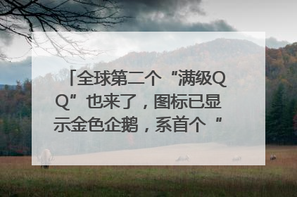 全球第二个“满级QQ”也来了，图标已显示金色企鹅，系首个“满级QQ”的小号