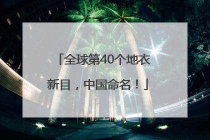全球第40个地衣新目，中国命名！