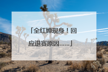 全红婵现身！回应退赛原因……