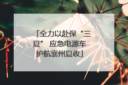 全力以赴保“三夏” 应急电源车护航襄州夏收