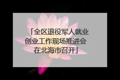 全区退役军人就业创业工作现场推进会在北海市召开