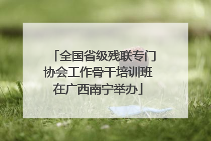 全国省级残联专门协会工作骨干培训班在广西南宁举办