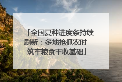 全国夏种进度条持续刷新：多地抢抓农时 筑牢粮食丰收基础