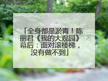 全身都是淤青！陈丽君《我的大观园》幕后：面对滚楼梯，没有做不到