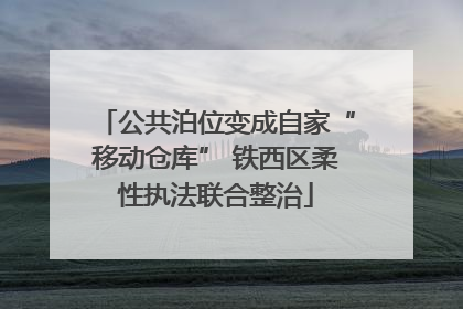 公共泊位变成自家“移动仓库” 铁西区柔性执法联合整治