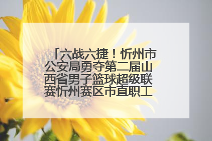 六战六捷！忻州市公安局勇夺第二届山西省男子篮球超级联赛忻州赛区市直职工组比赛冠军