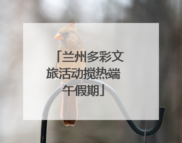 兰州多彩文旅活动搅热端午假期