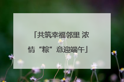 共筑幸福邻里 浓情“粽”意迎端午