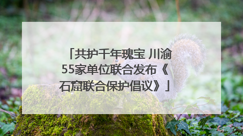 共护千年瑰宝 川渝55家单位联合发布《石窟联合保护倡议》