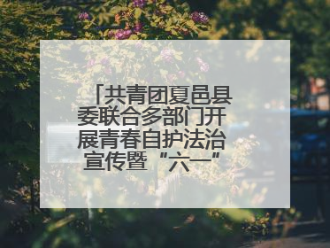 共青团夏邑县委联合多部门开展青春自护法治宣传暨“六一”主题日活动
