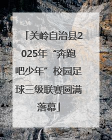 关岭自治县2025年“奔跑吧少年”校园足球三级联赛圆满落幕