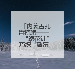 内蒙古扎鲁特旗——“绣花针”巧织“致富路”