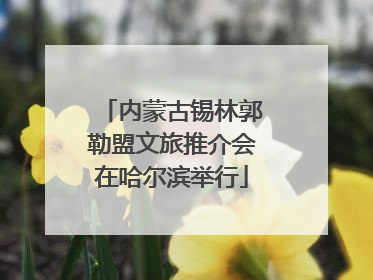 内蒙古锡林郭勒盟文旅推介会在哈尔滨举行