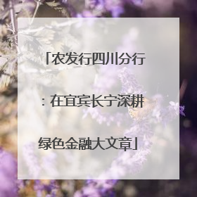 农发行四川分行：在宜宾长宁深耕绿色金融大文章