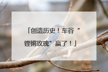 创造历史！车谷“铿锵玫瑰”赢了！