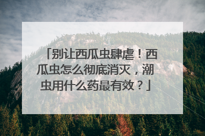 别让西瓜虫肆虐！西瓜虫怎么彻底消灭，潮虫用什么药最有效？