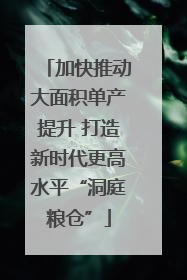 加快推动大面积单产提升 打造新时代更高水平“洞庭粮仓”