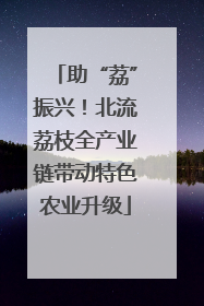 助“荔”振兴！北流荔枝全产业链带动特色农业升级