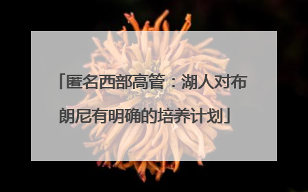 匿名西部高管：湖人对布朗尼有明确的培养计划