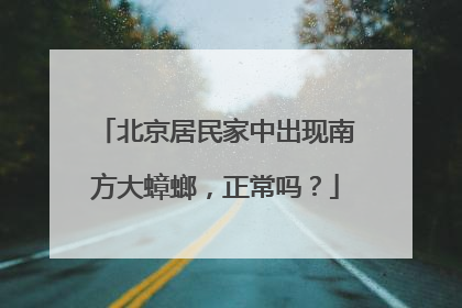 北京居民家中出现南方大蟑螂，正常吗？