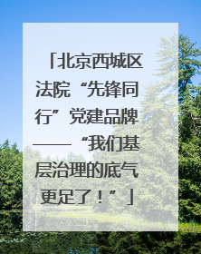 北京西城区法院“先锋同行”党建品牌——“我们基层治理的底气更足了！”