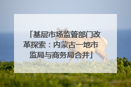 基层市场监管部门改革探索：内蒙古一地市监局与商务局合并