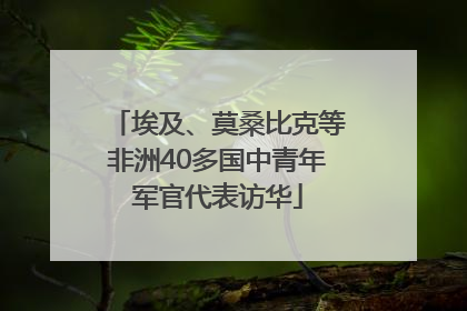 埃及、莫桑比克等非洲40多国中青年军官代表访华