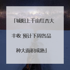 城阳上千亩红杏大丰收 预计下周各品种大面积成熟