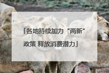 各地持续加力“两新”政策 释放消费潜力