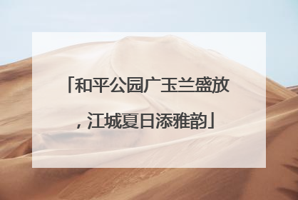 和平公园广玉兰盛放，江城夏日添雅韵