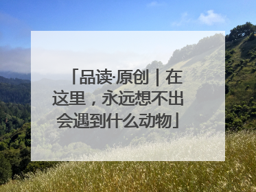 品读·原创｜在这里，永远想不出会遇到什么动物