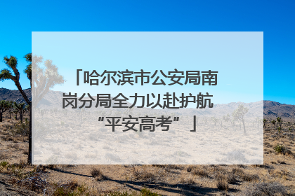 哈尔滨市公安局南岗分局全力以赴护航“平安高考”