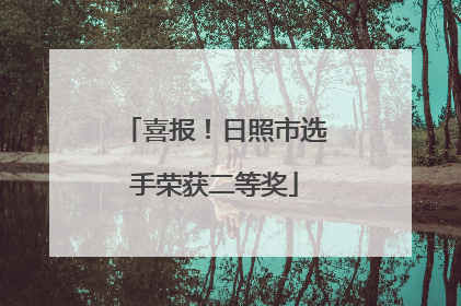 喜报！日照市选手荣获二等奖