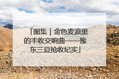 图集｜金色麦浪里的丰收交响曲——豫东三夏抢收纪实