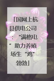 国网上杭县供电公司：“满格电”助力养殖场生“鸡”勃勃