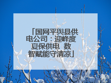 国网平舆县供电公司：迎峰度夏保供电  数智赋能守清凉
