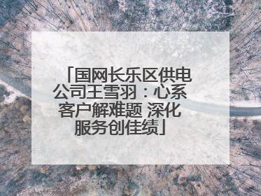 国网长乐区供电公司王雪羽：心系客户解难题 深化服务创佳绩