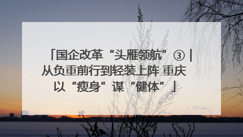 国企改革“头雁领航”③｜从负重前行到轻装上阵 重庆以“瘦身”谋“健体”