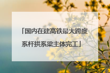 国内在建高铁最大跨度系杆拱系梁主体完工
