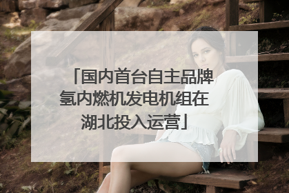 国内首台自主品牌氢内燃机发电机组在湖北投入运营