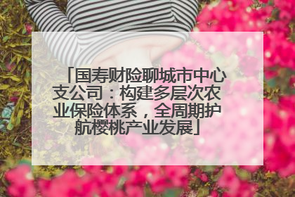 国寿财险聊城市中心支公司：构建多层次农业保险体系，全周期护航樱桃产业发展