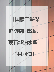 国家二级保护动物白鹭惊现石城镇水堡子村河道