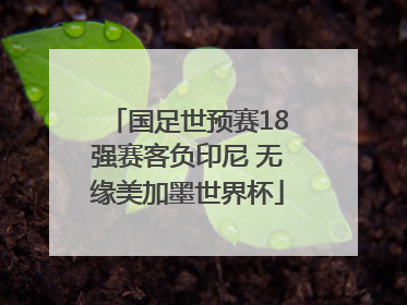 国足世预赛18强赛客负印尼 无缘美加墨世界杯