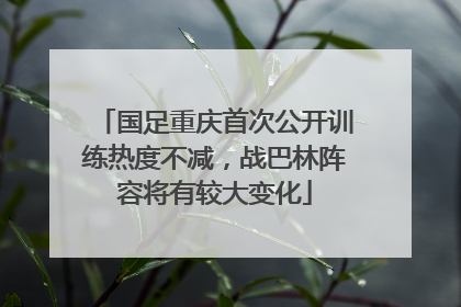 国足重庆首次公开训练热度不减，战巴林阵容将有较大变化